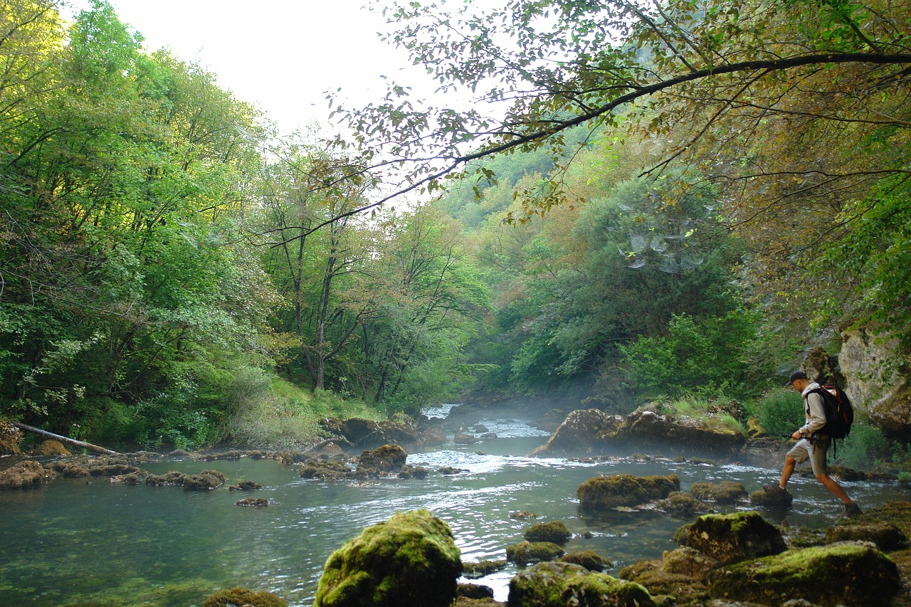 ウェルビーイングの5つの要素