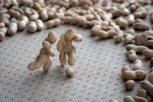 スポーツライフ