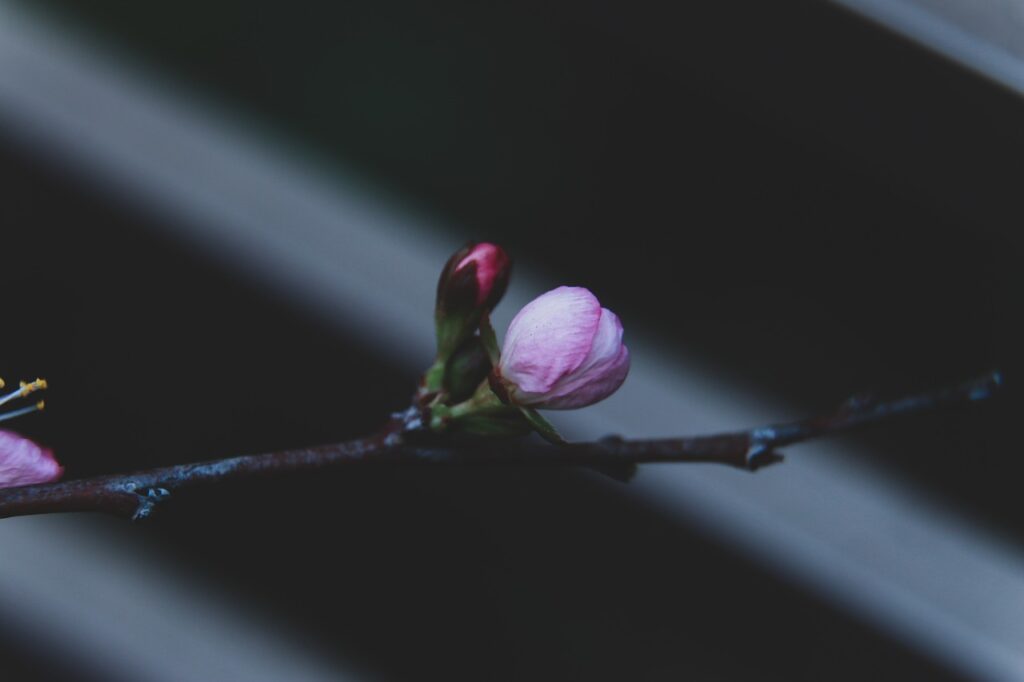 対応マトリックス