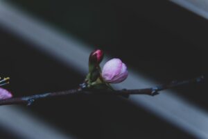 対応マトリックス